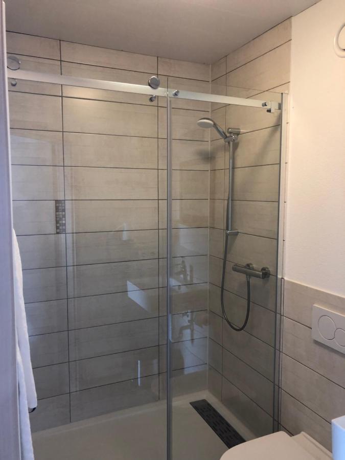 Zollwanger - Wohnen Auf Zeit Apartment Дилинген ан дер Донау Екстериор снимка